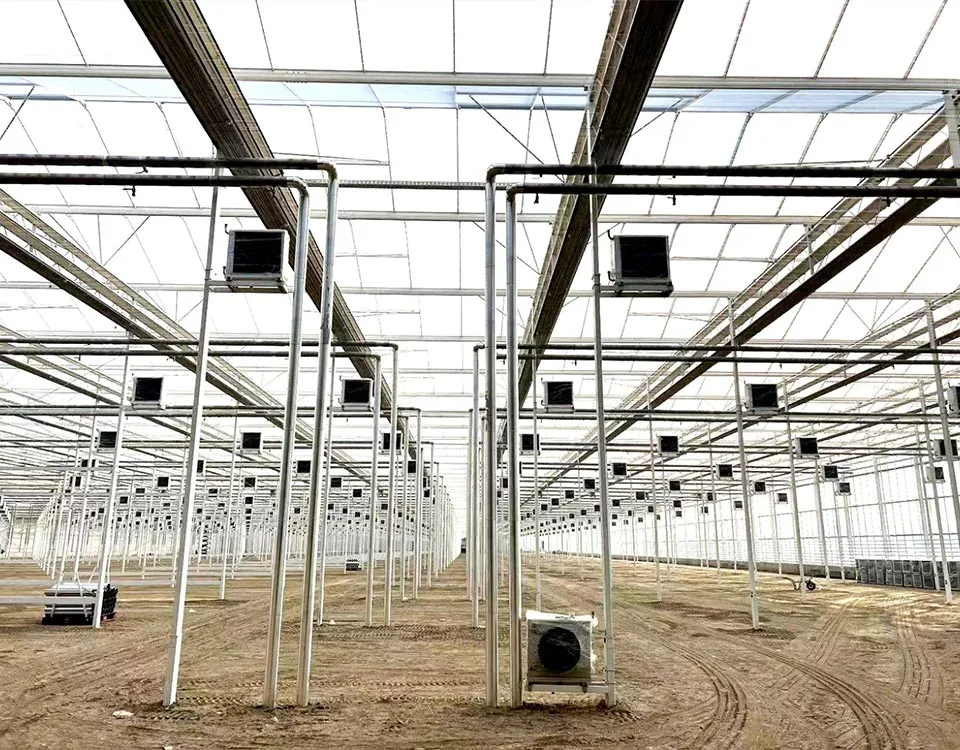 Greenhouse saka Sayuran